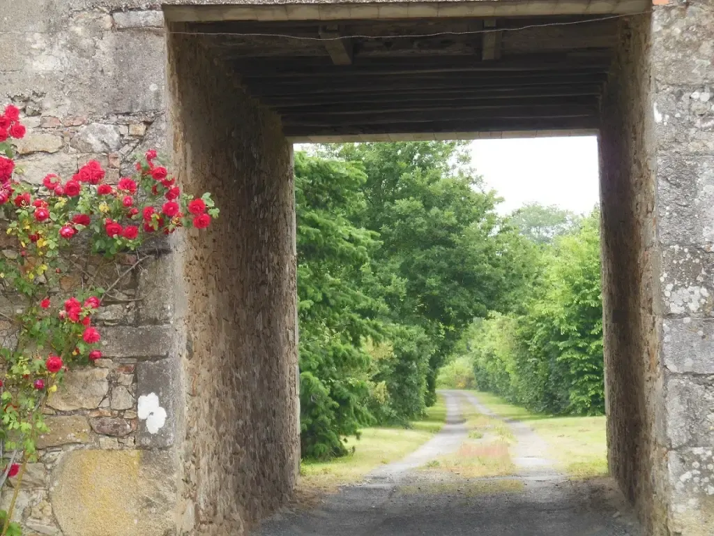 Porche de pierre fleuri ouvrant sur un chemin